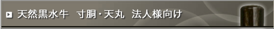 �V�R���������(�c�����ɏ�)�@�l����E��s��