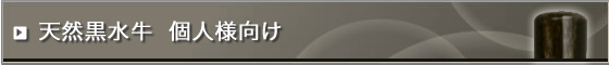 �V�R���������(�c�����ɏ�)�l����