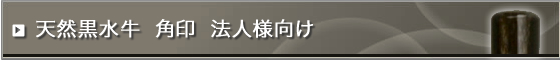 �V�R���������(�c�����ɏ�)�p��